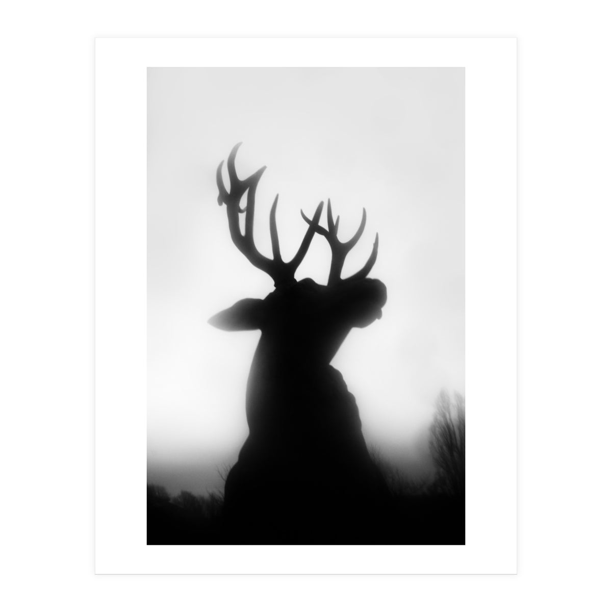 roar (Print Only)