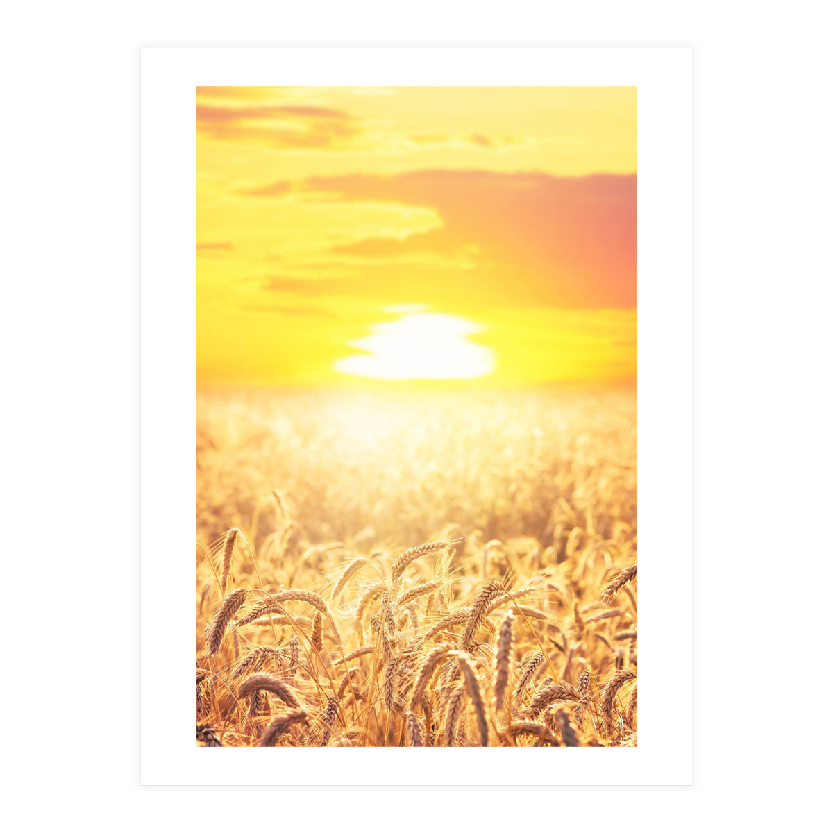 Nature (Print Only)
