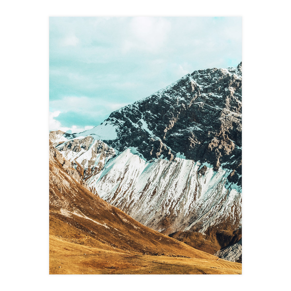 Carter (Print Only)