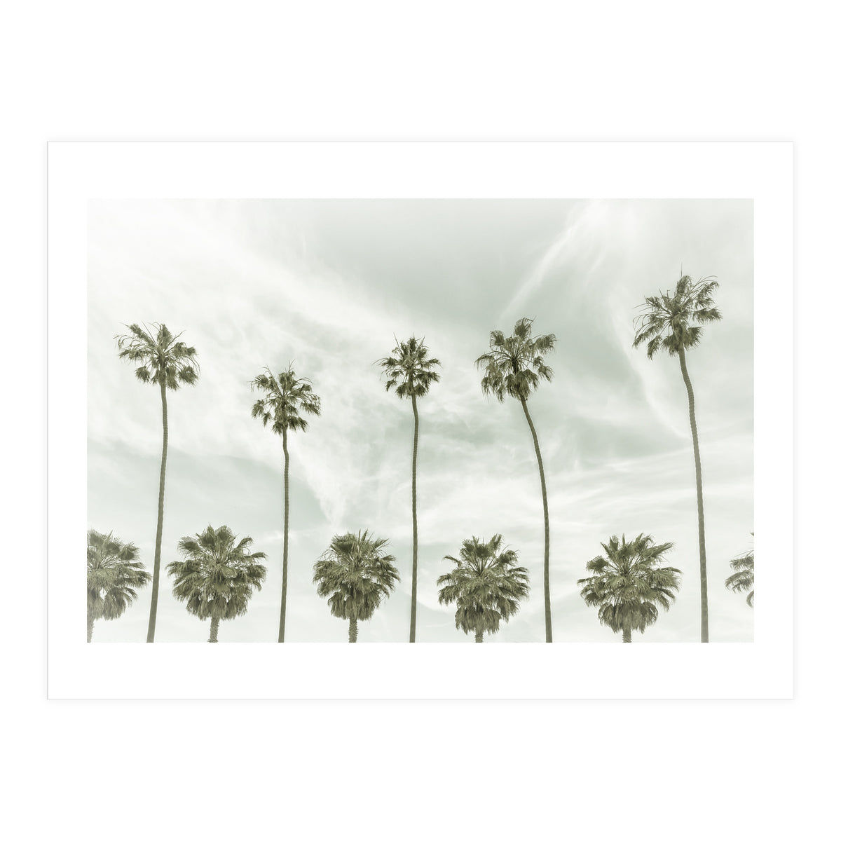 CALIFORNIA Vintage Palm Trees (Print Only)
