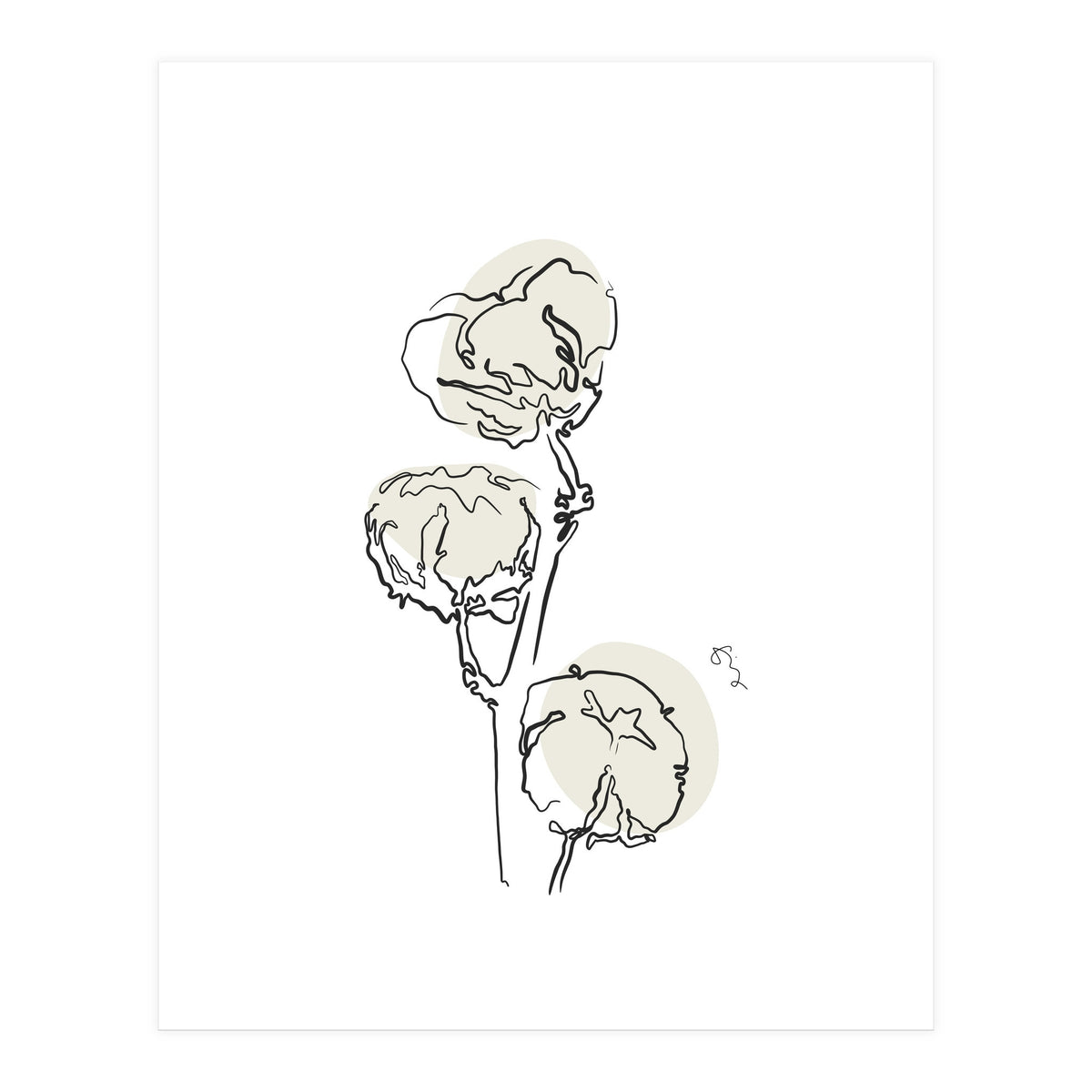 Cotton (Print Only)