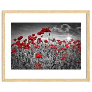 Idyllic Field of Poppies with Sun by Melanie Viola