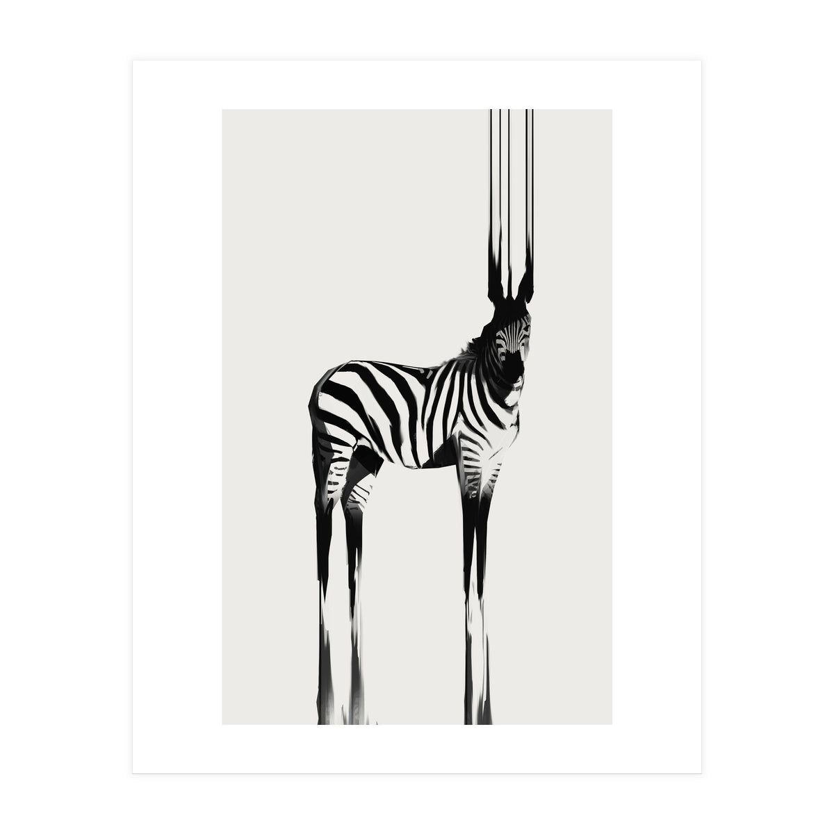 Zebra (Print Only)