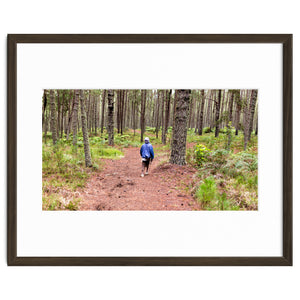 Into the forest by BNJ Photo