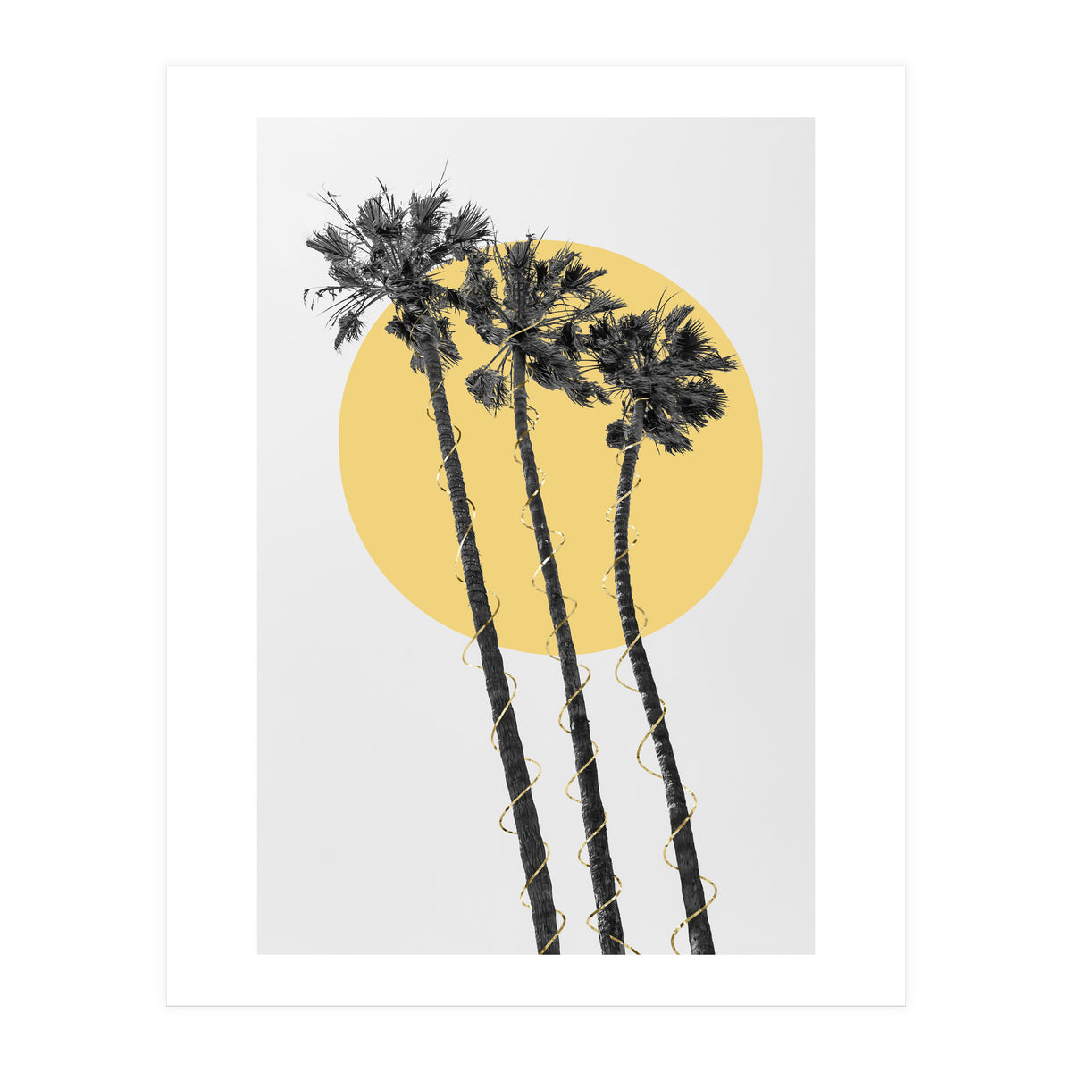 Palm Trees in the sun (Print Only)