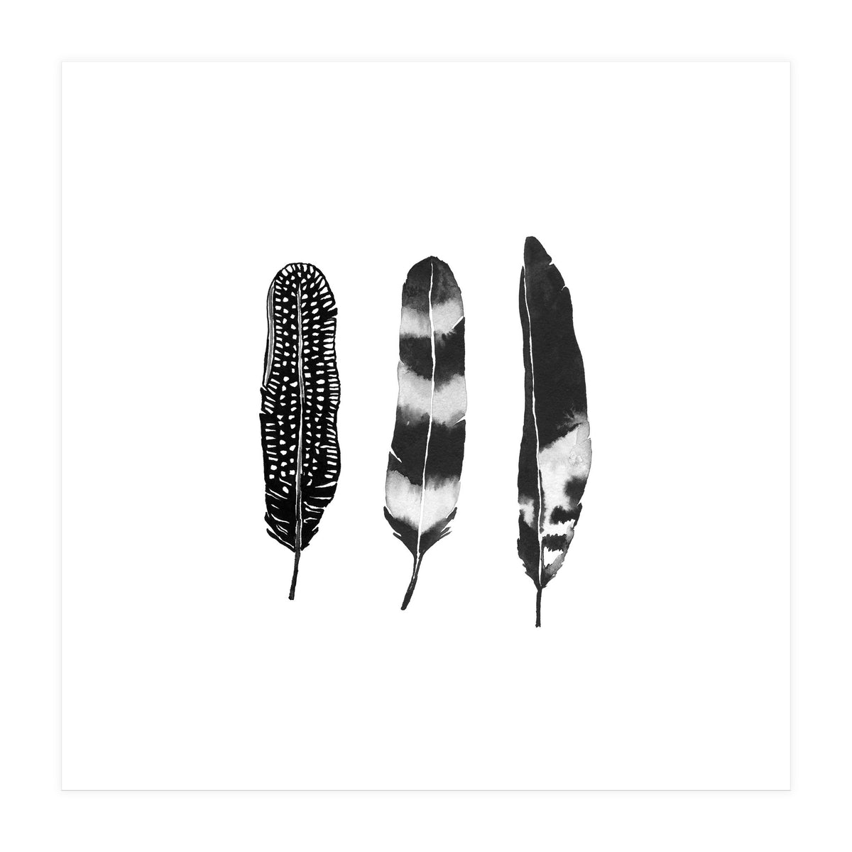 Dark Feather (Print Only)