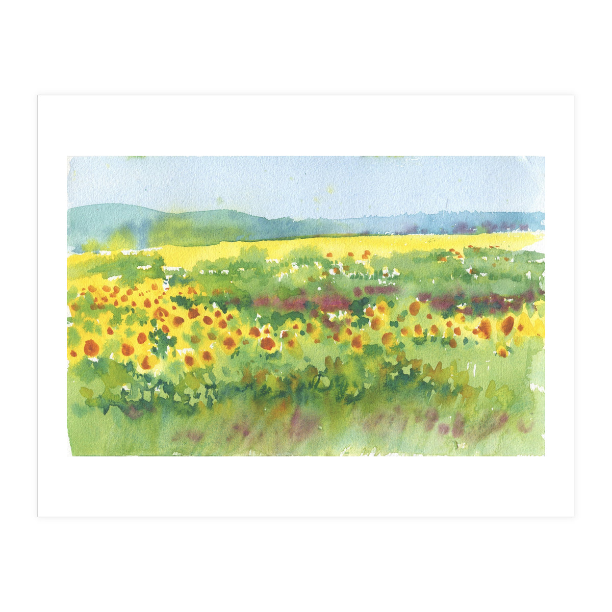 Sunflowers field (Print Only)