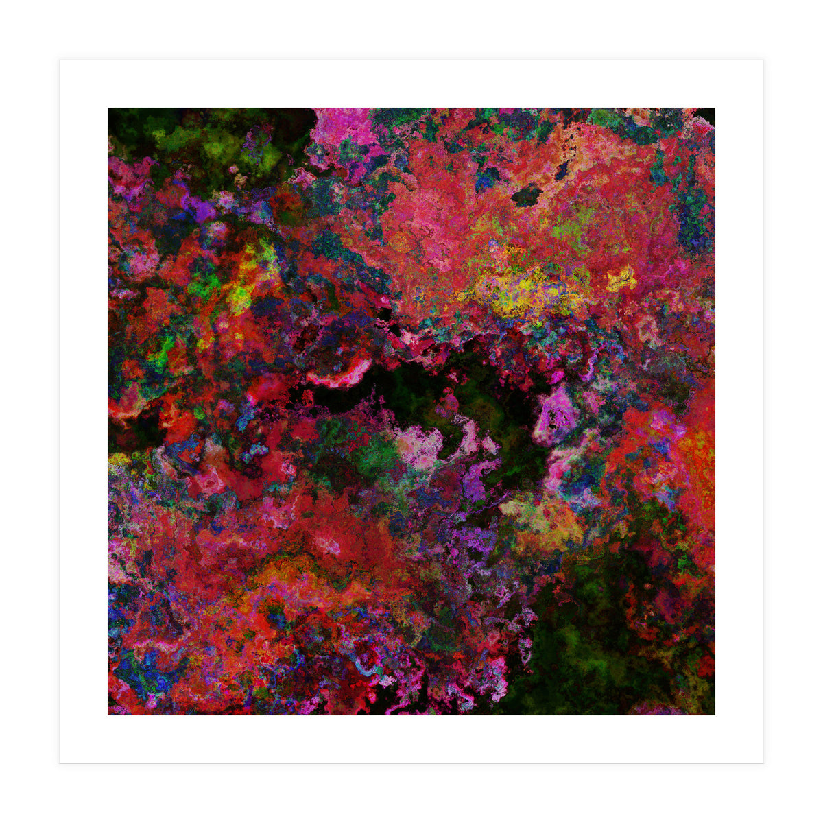 Blooms (Print Only)