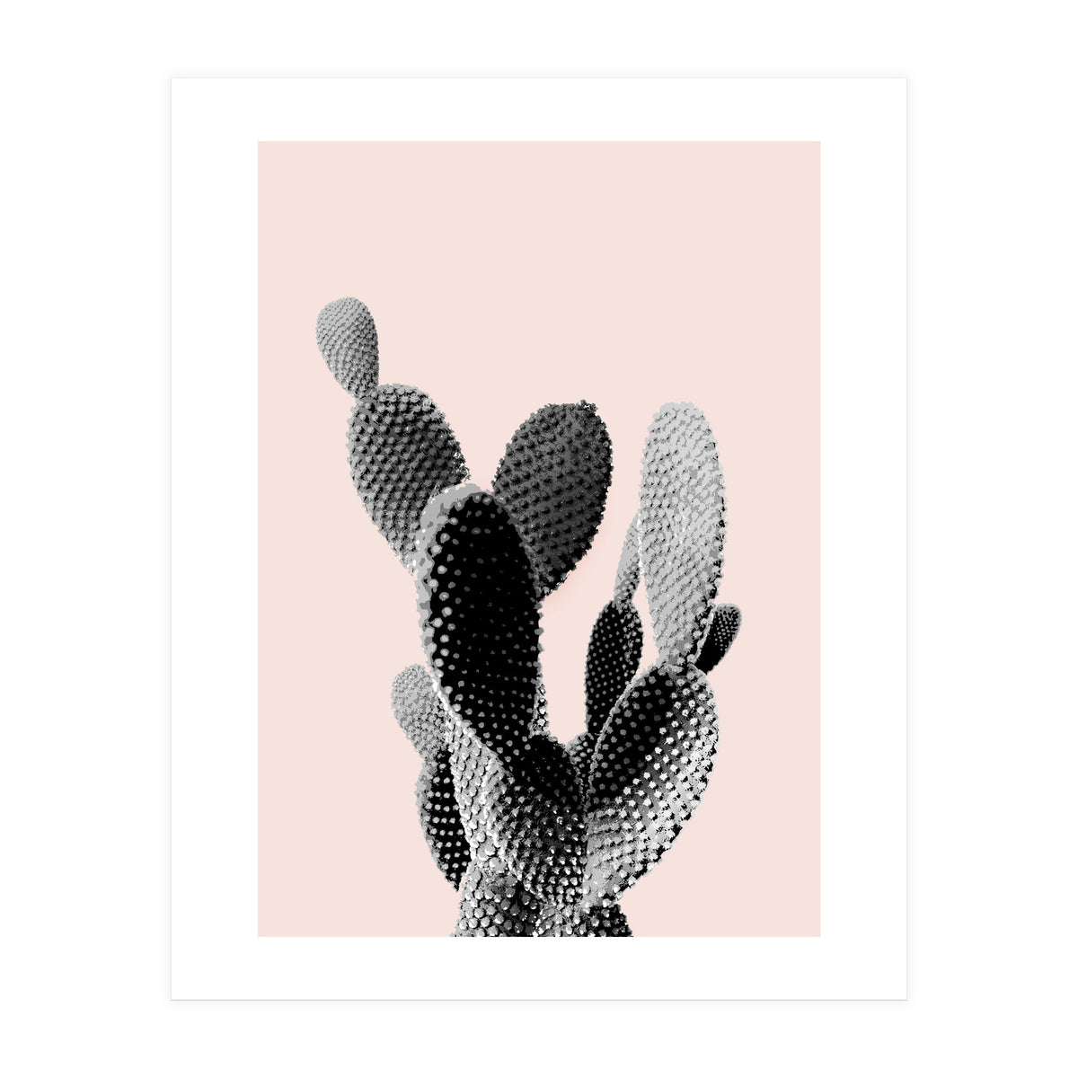 50 (Print Only)