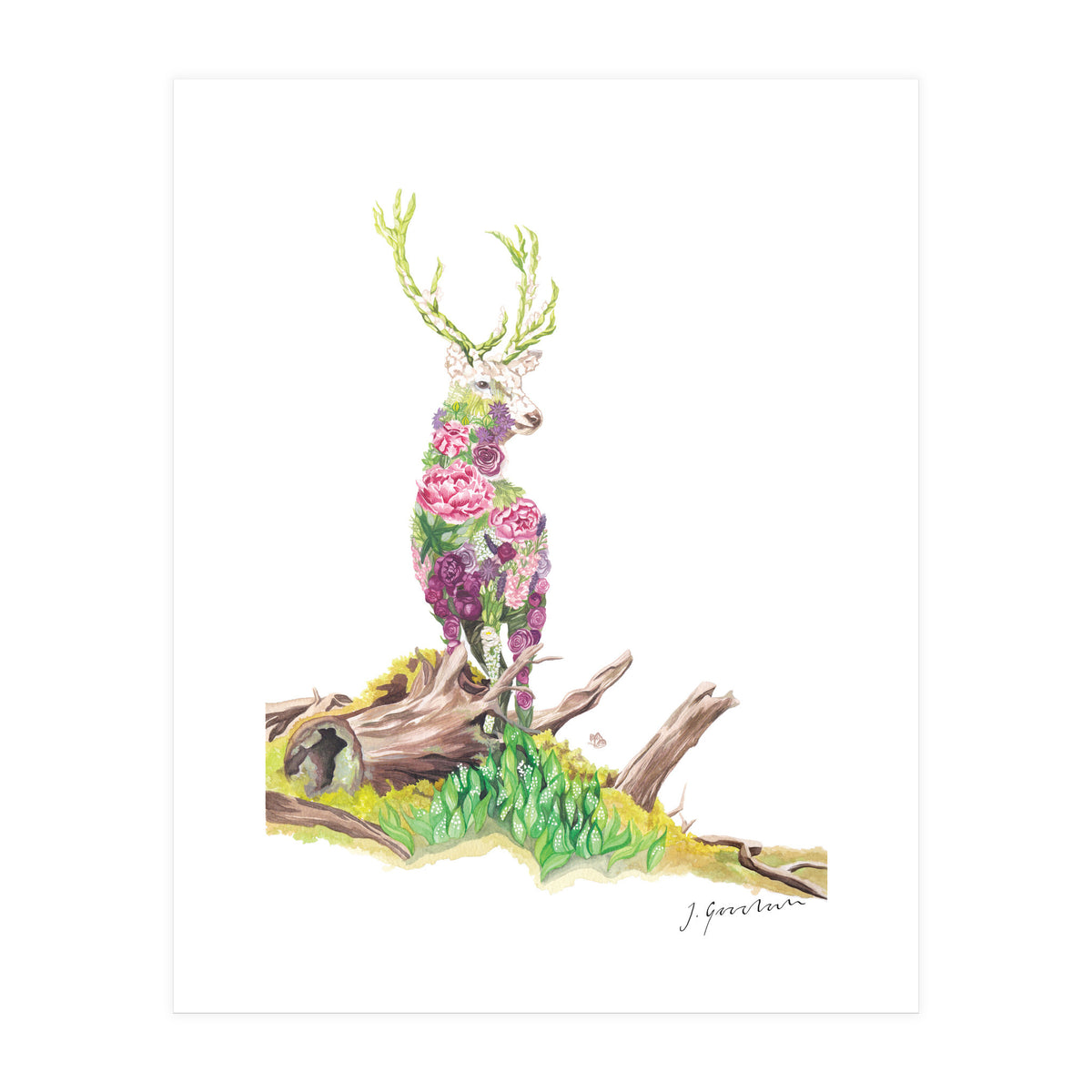 Floral May Stag (Print Only)