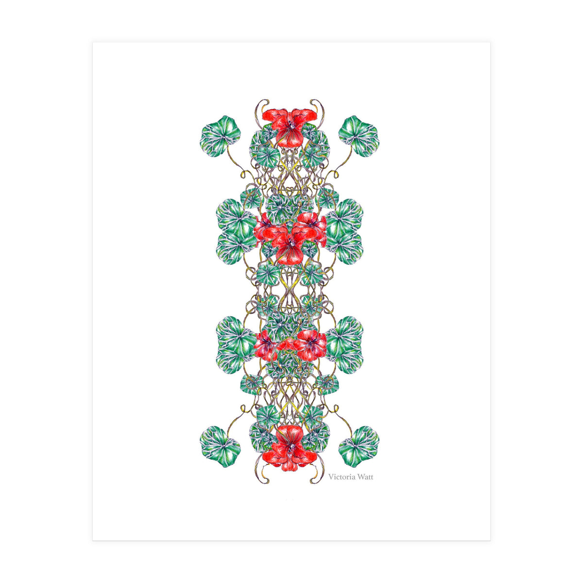 Nasturtiums (Print Only)