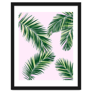 Palmfrond by anneamanda