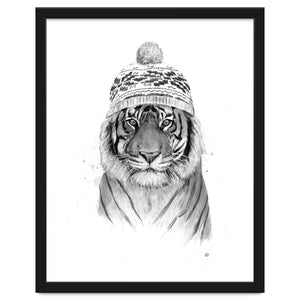 Siberian tiger (bw) by Balazs Solti