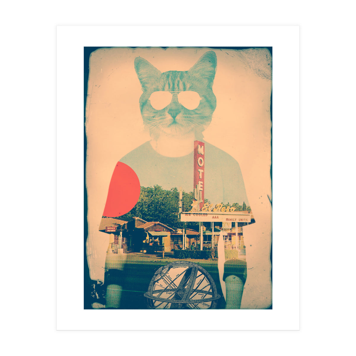 Cool Cat (Print Only)