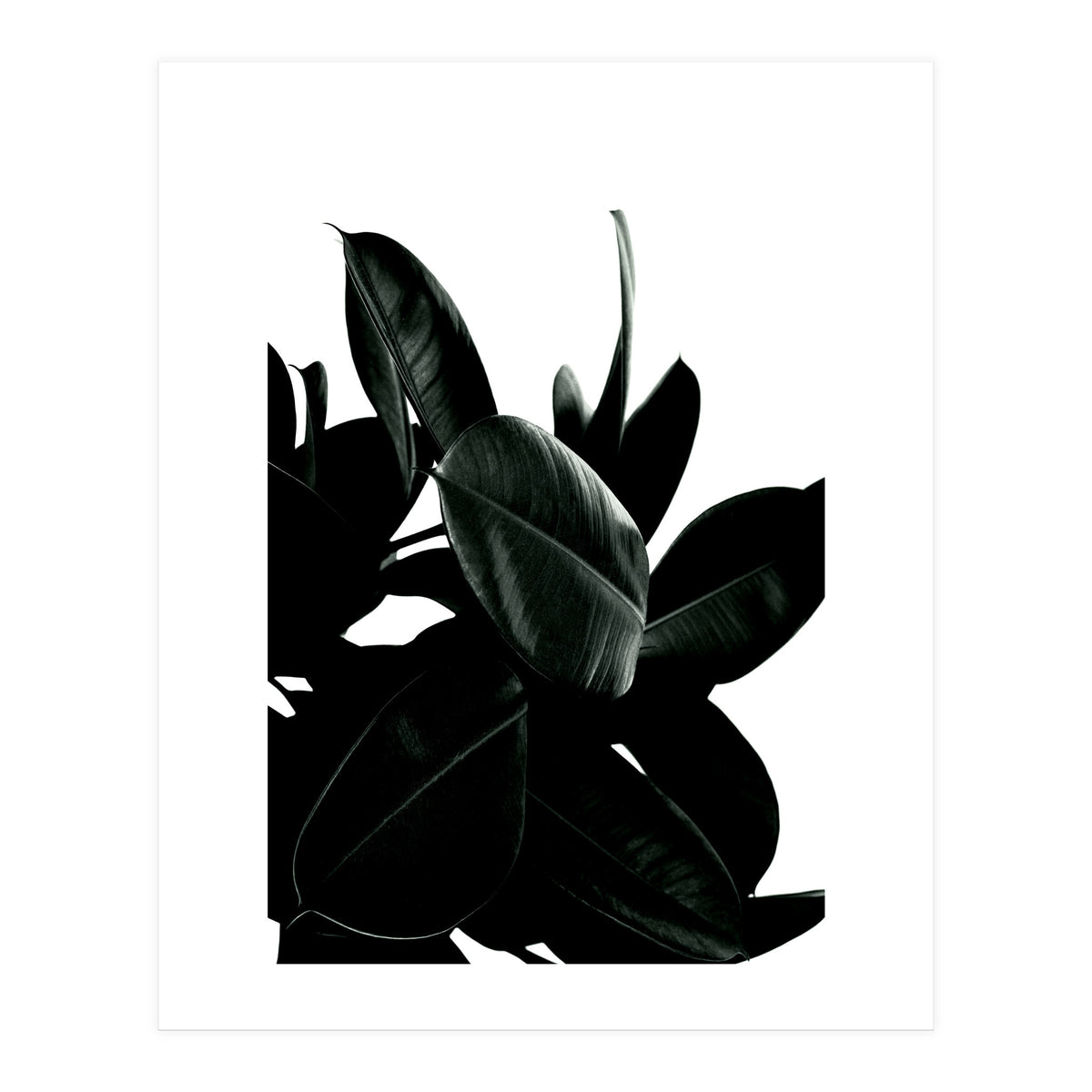 Dark Tree (Print Only)