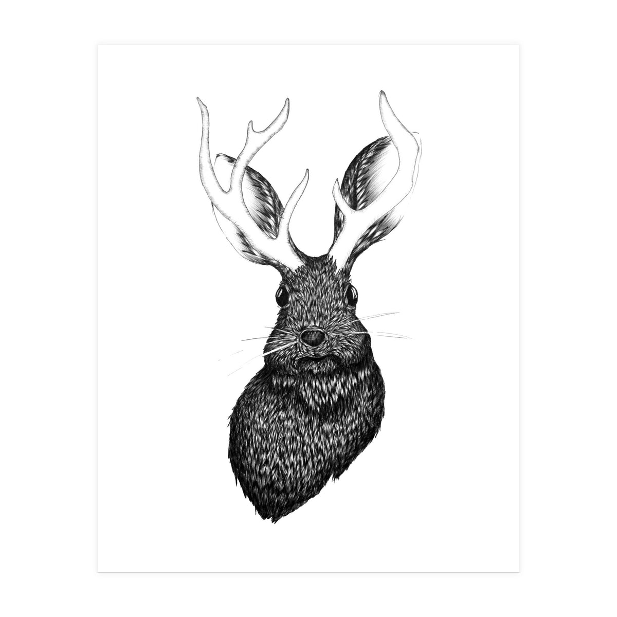 Jackalope (Print Only)