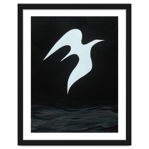 Soar by Guy Harkness