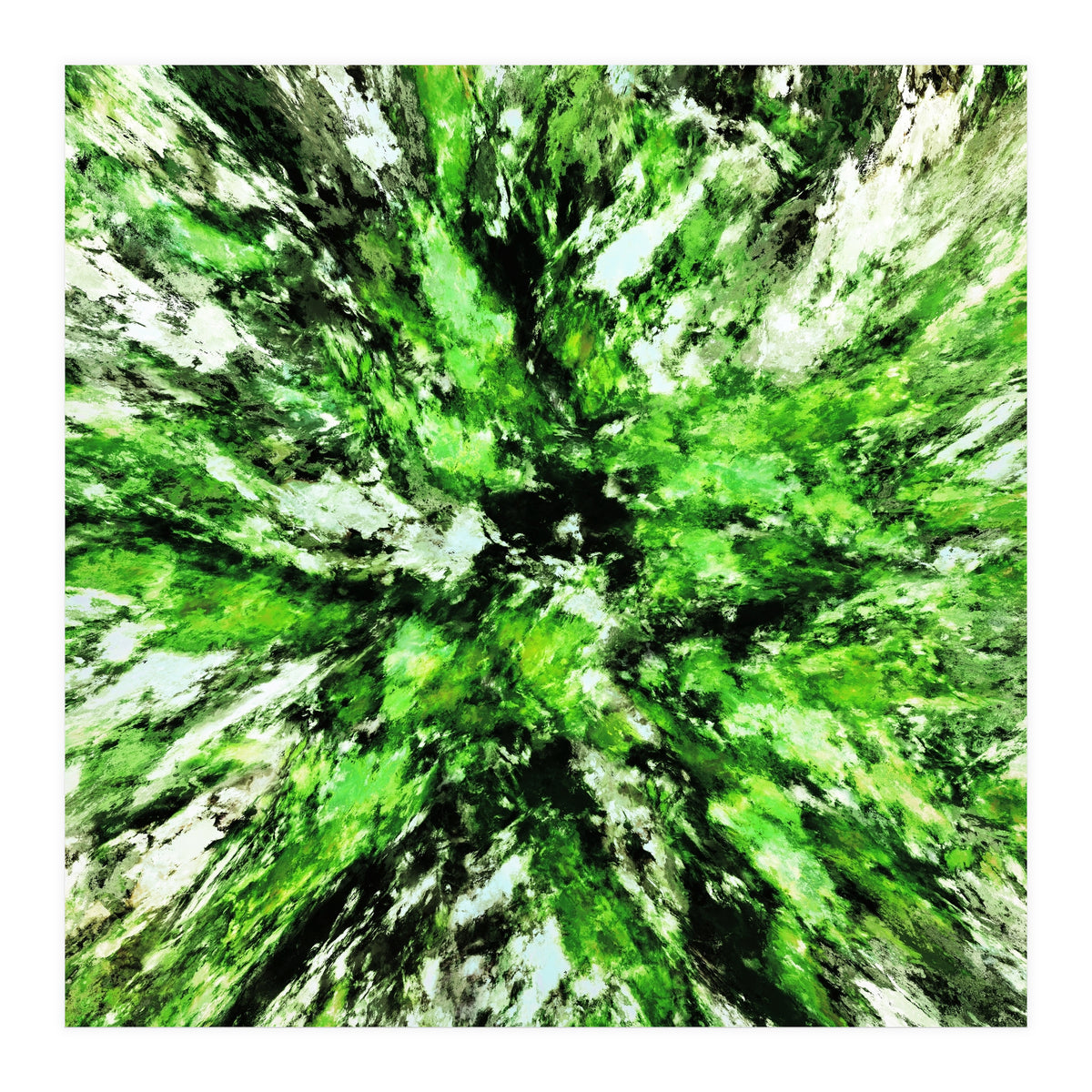 Splash (Print Only)