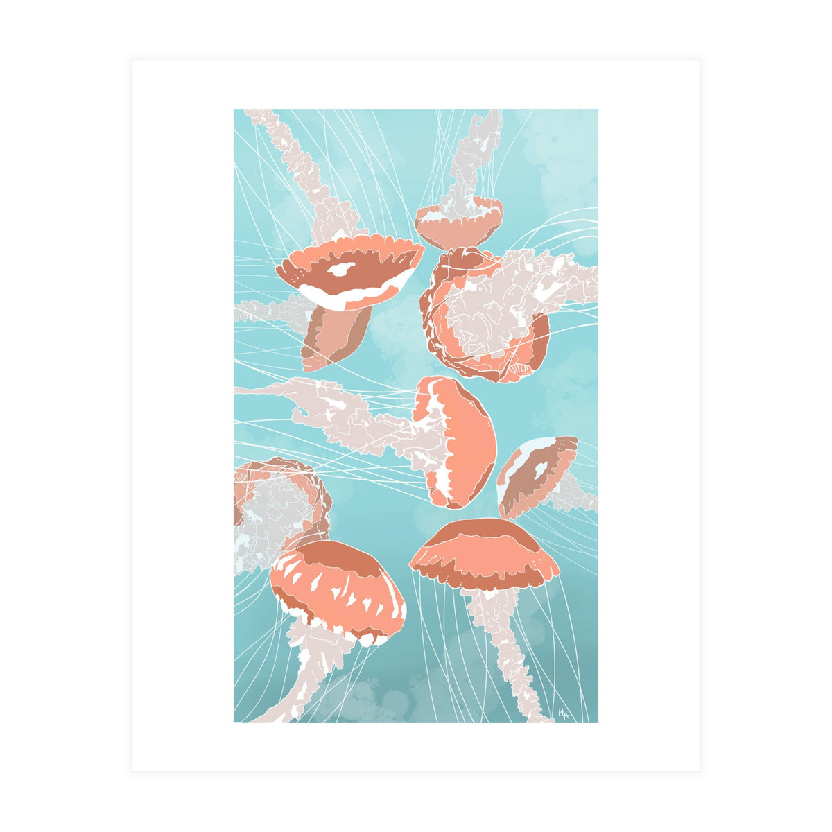 Jellyfish (Print Only)
