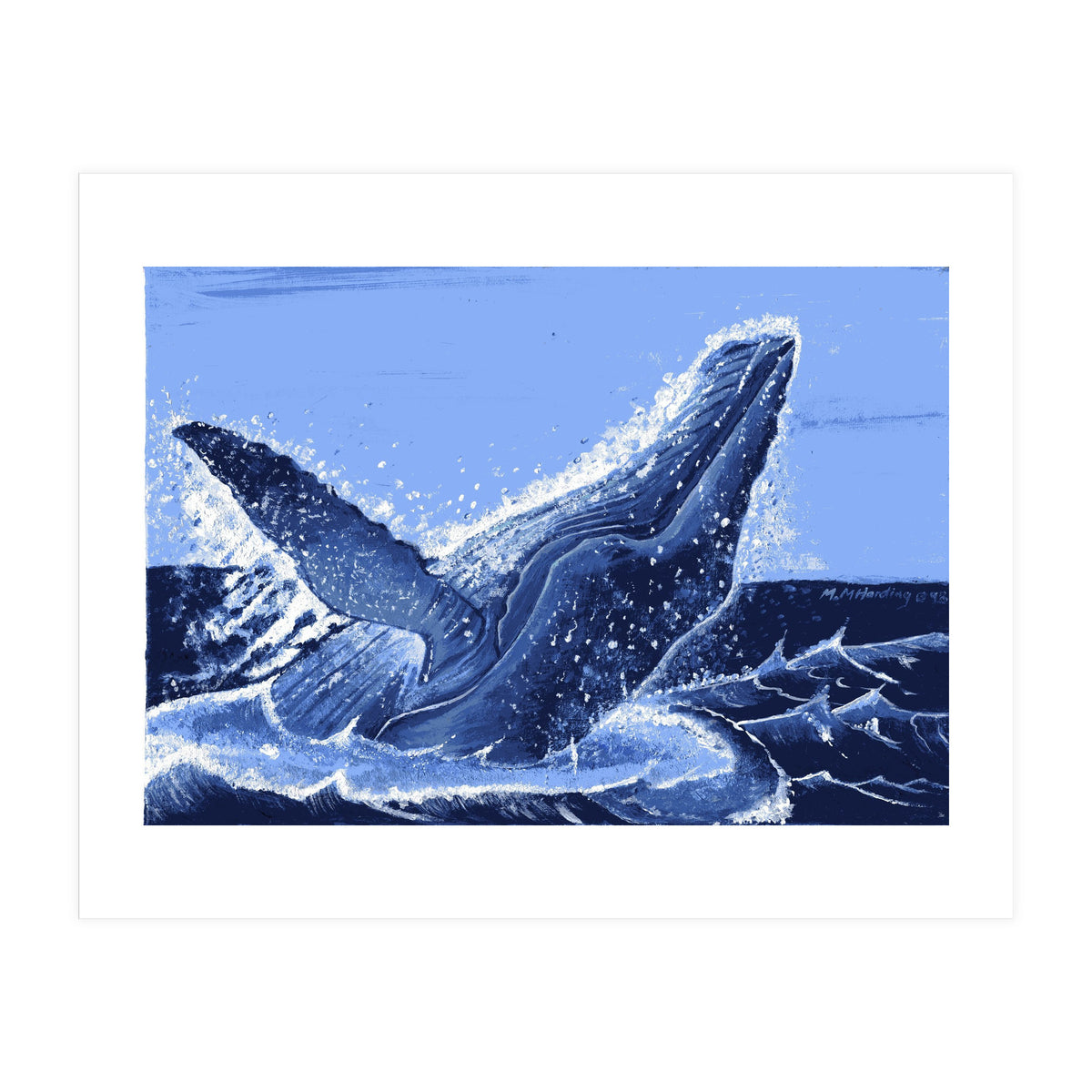 Humpback Whale Breaching (Print Only)