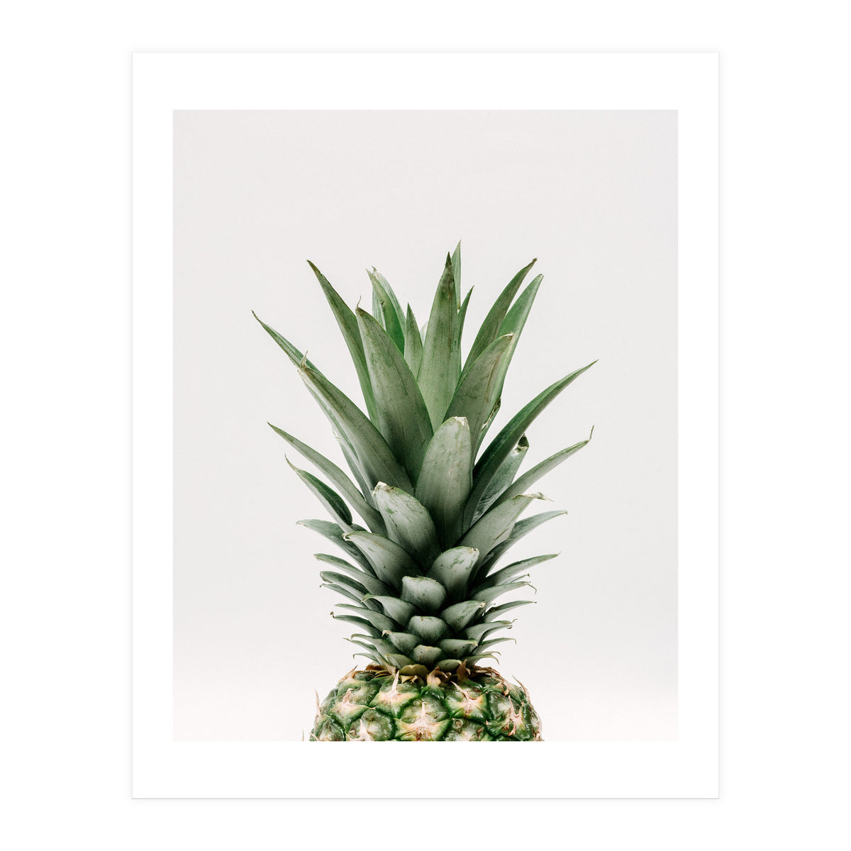 Pineapple Top (Print Only)