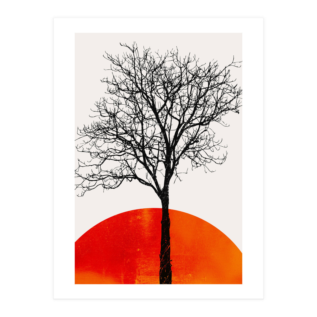 The Birch 3 (Print Only)