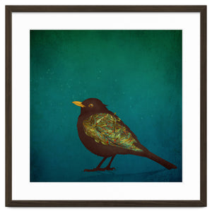 Camouflage: The Blackbird by Sybille Sterk