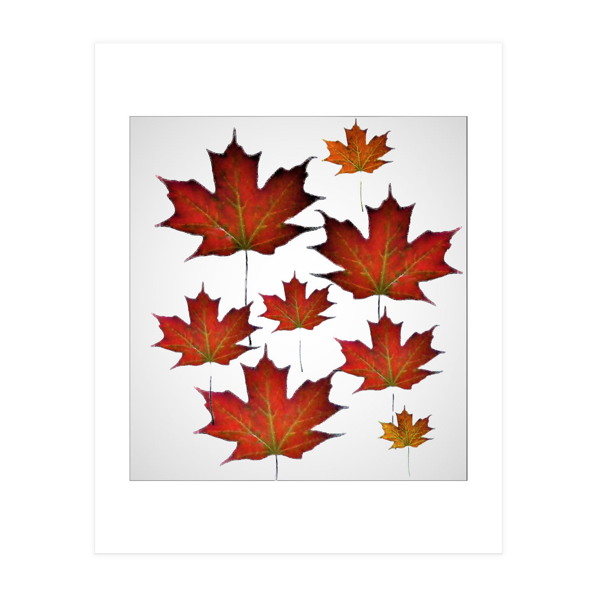 Autumn leaves (Print Only)