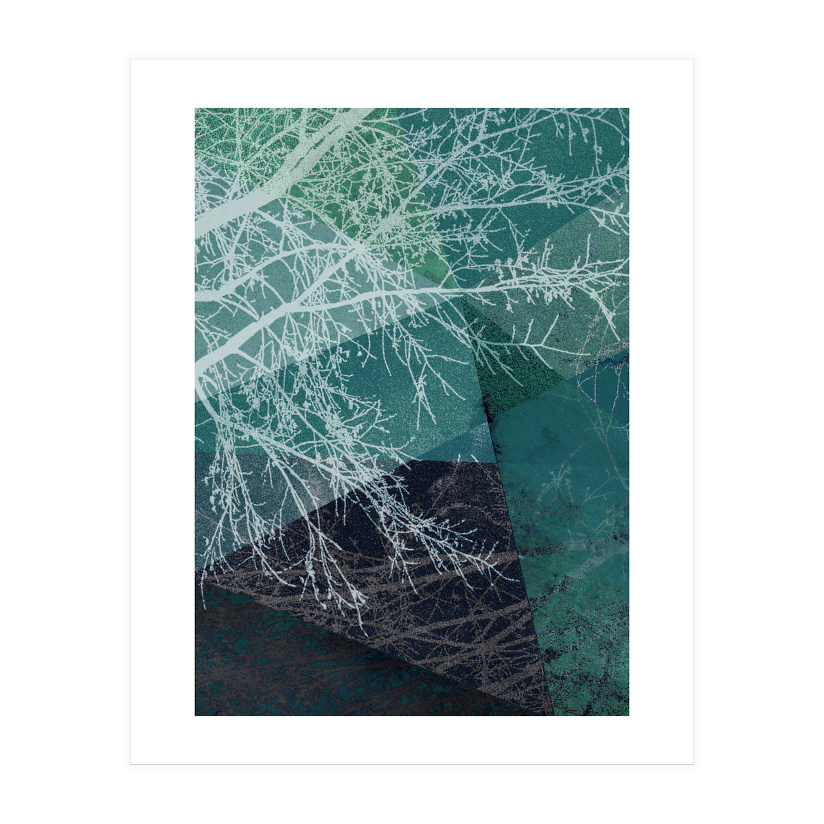 P19 E1 Trees And Triangles (Print Only)