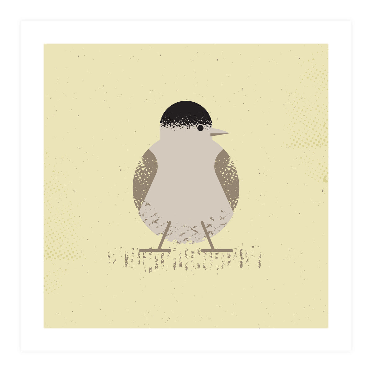 Blackcap 2 (Print Only)