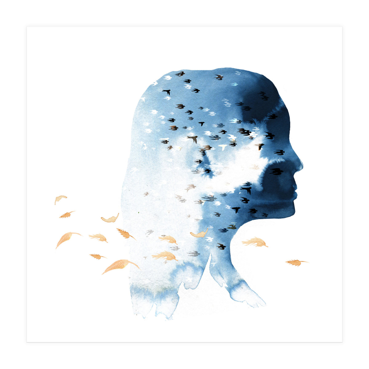 South (Print Only)