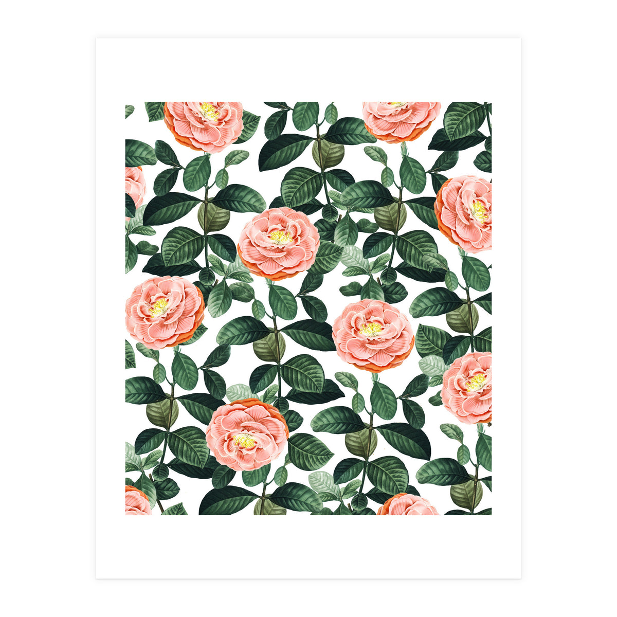 Josephine | Vintage Rose Garden Illustration | Bohemian Botanical Floral House Plants (Print Only)