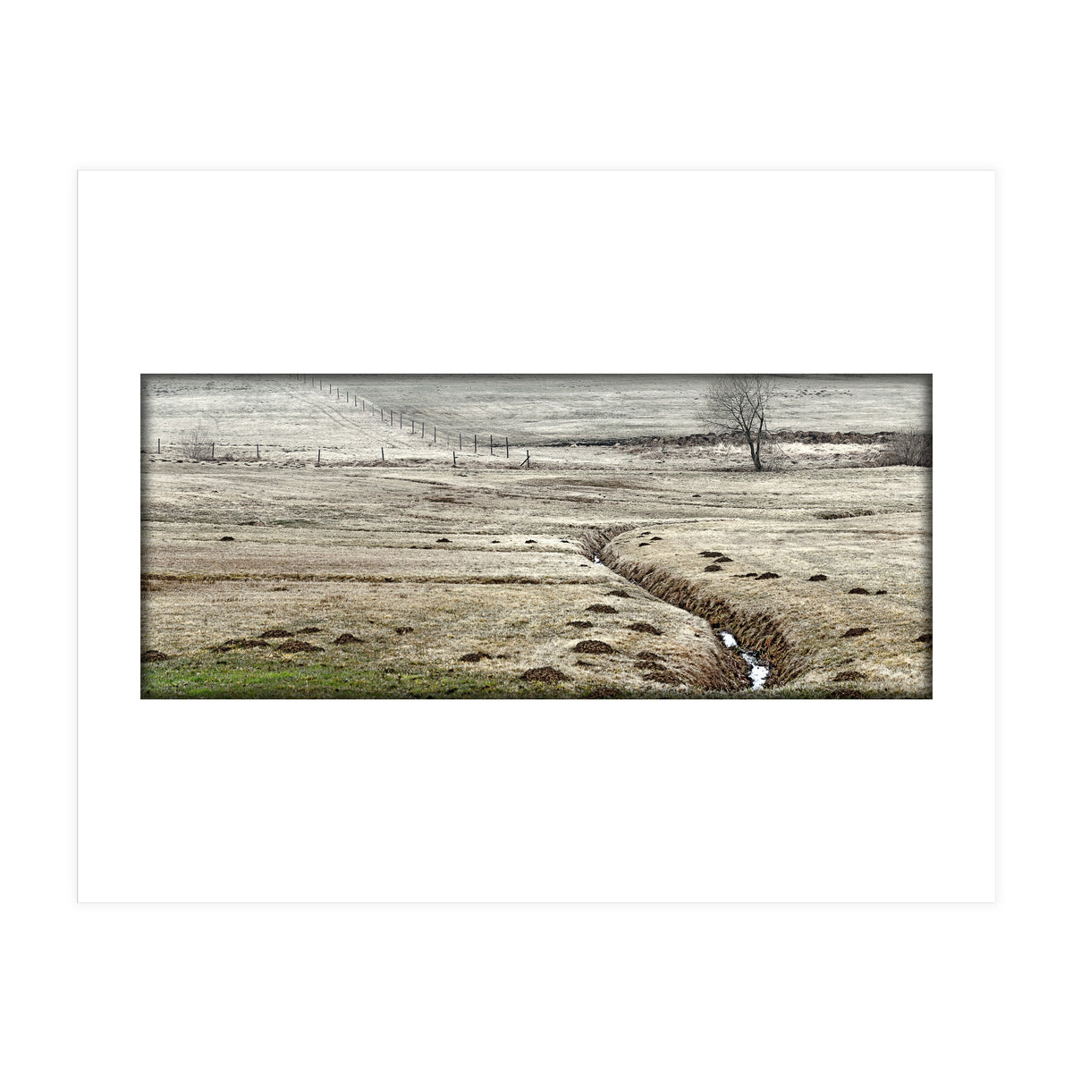 Wet meadows (Print Only)