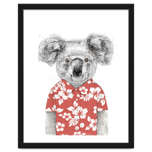 Summer Koala by Balazs Solti