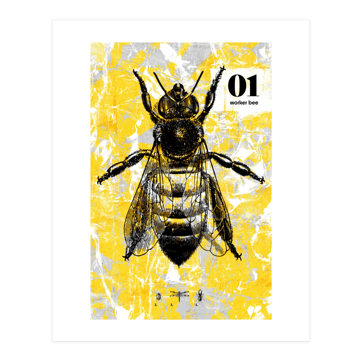 Bugs 1 (Print Only)