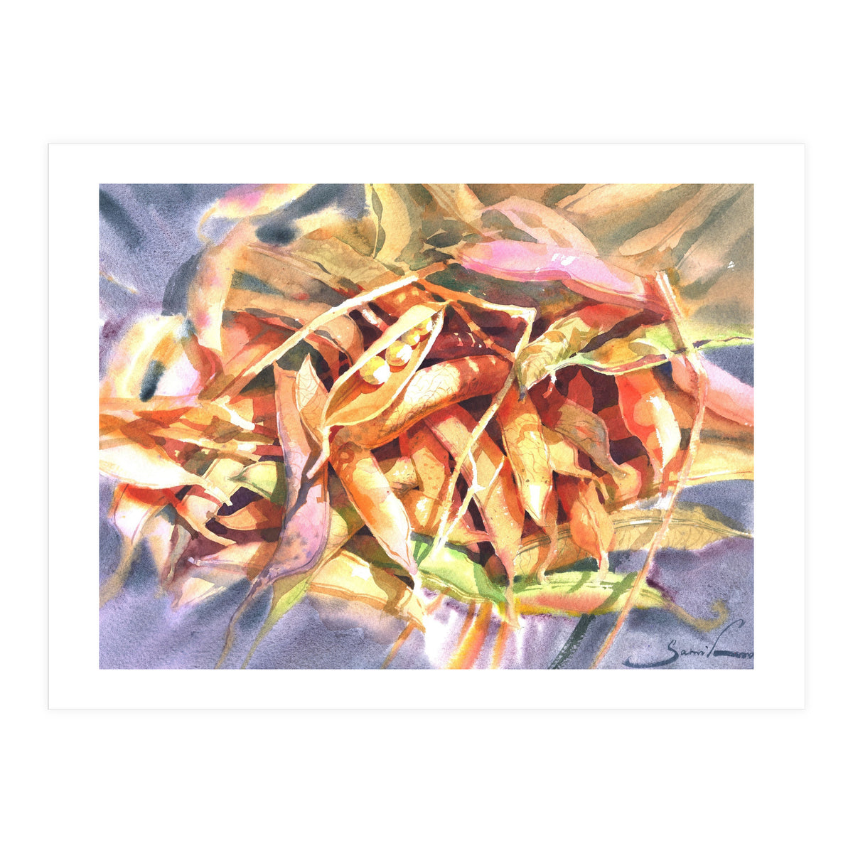 Bean Pods (Print Only)