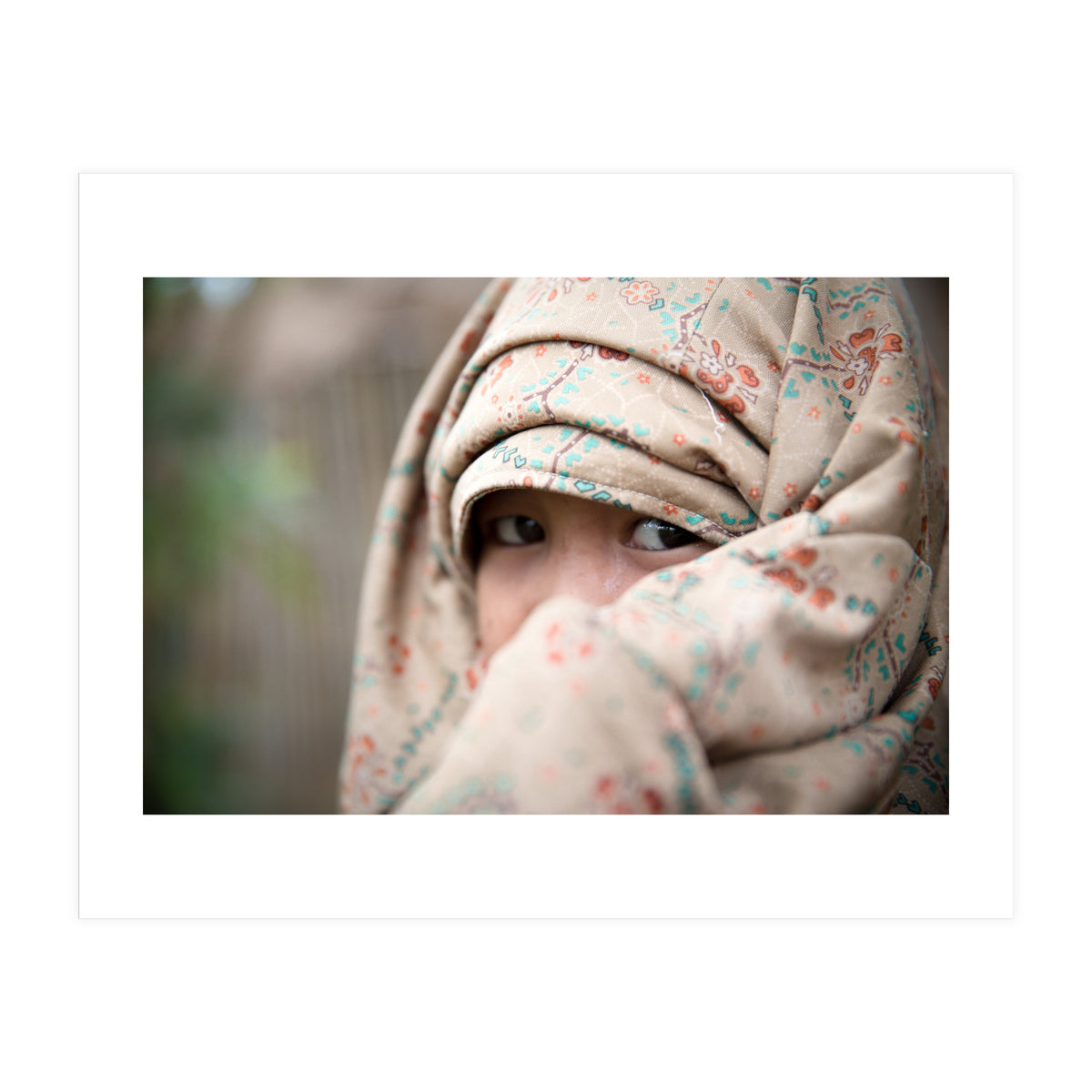 Shy (Print Only)