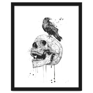 New Skull (bw) by Balazs Solti