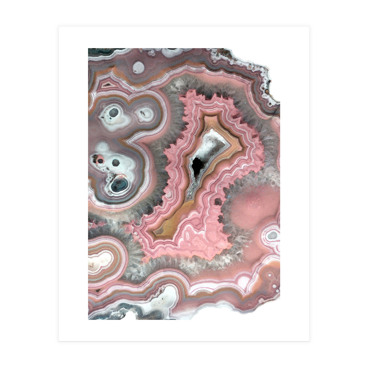25 (Print Only)