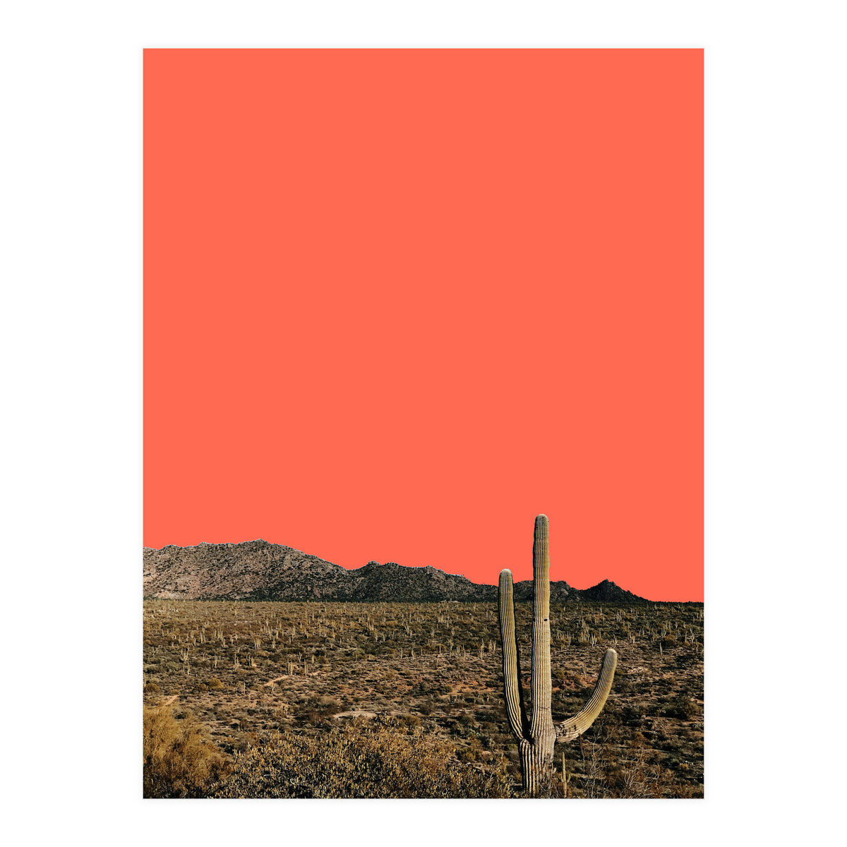 red (Print Only)