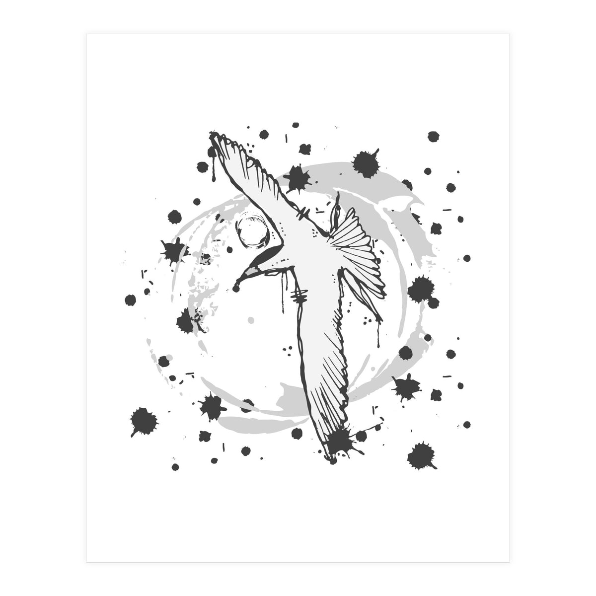 Fairy Tern Sketch (Print Only)