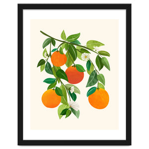 Oranges and Blossoms II by Modern Tropical