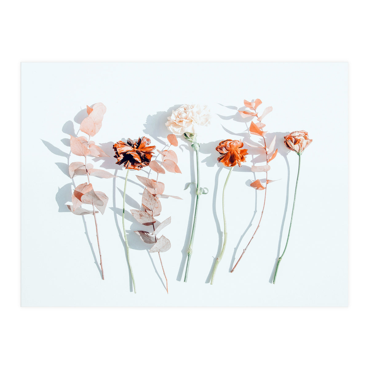 Minima (Print Only)