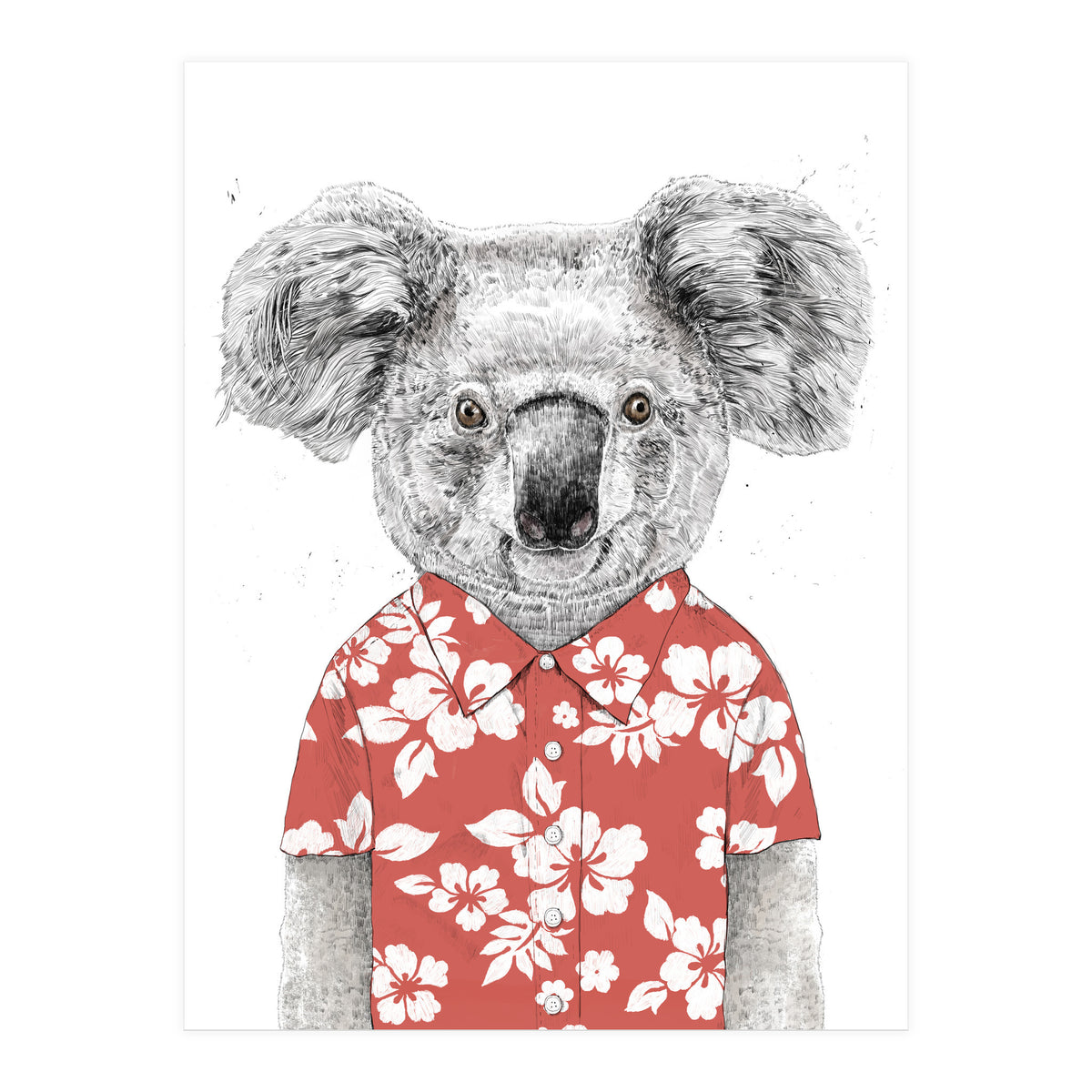 Summer Koala (Print Only)