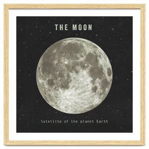 The Moon by Terry Fan