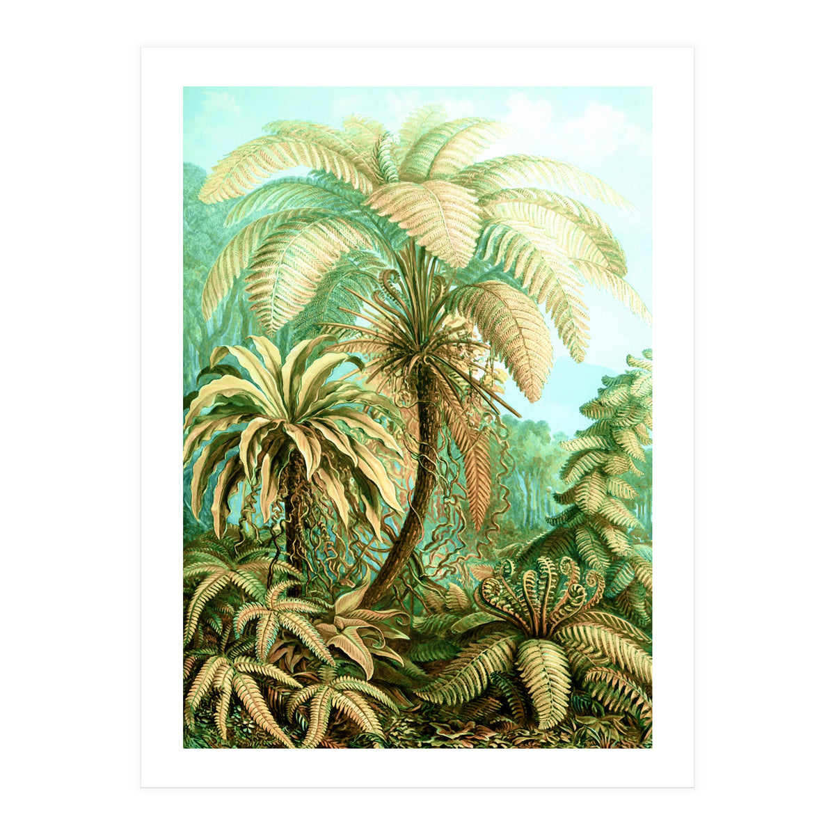 Vintage Tropical | Jungle Botanical Nature Banana Tree | Bohemian Plants Trees Forest (Print Only)