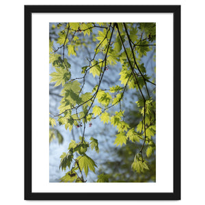 Wellbeing by PhotoHaiku