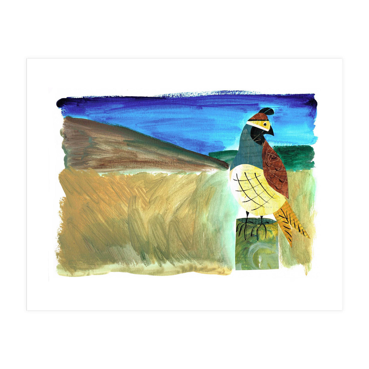 Quail (Print Only)