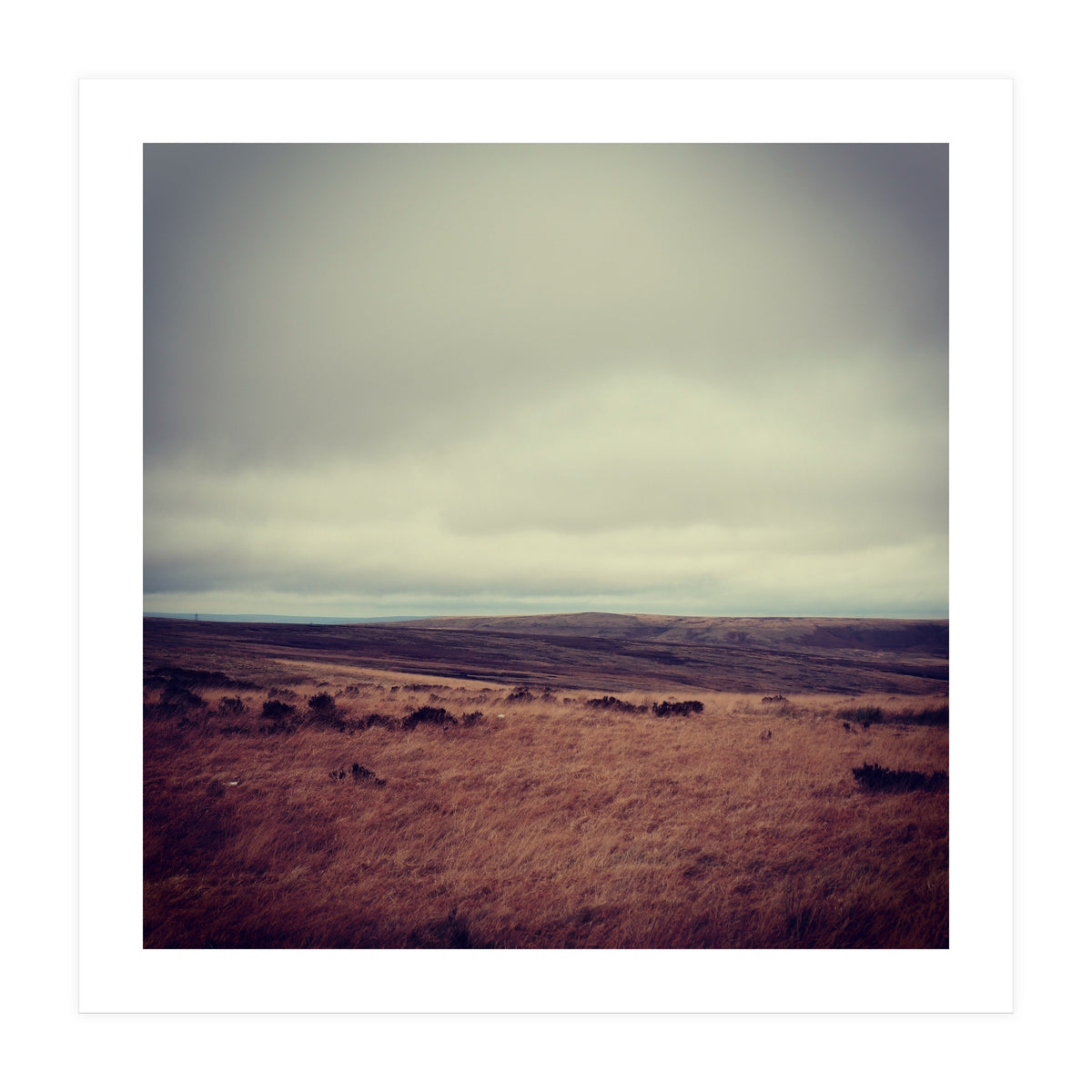 Bleak winter landscape of Saddleworth Moor (Print Only)