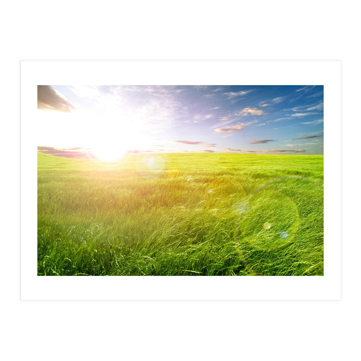 Nature (Print Only)